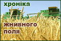 Хроніка жнивного поля
